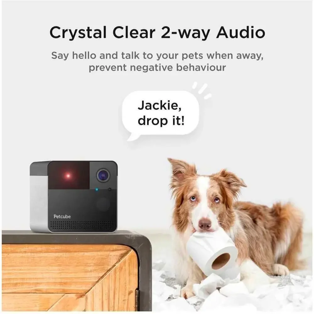 Petcube Play 2 Wi-Fi Pet Camera with Laser Toy for Cats & Dogs: Indoor Camera.